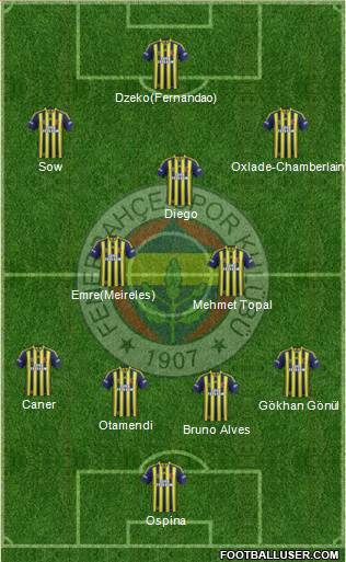 Fenerbahçe SK Formation 2015