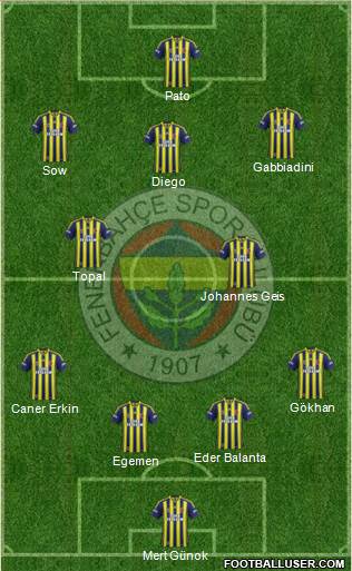 Fenerbahçe SK Formation 2015