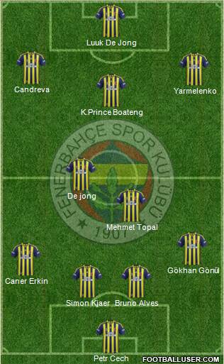 Fenerbahçe SK Formation 2015