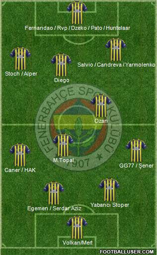 Fenerbahçe SK Formation 2015