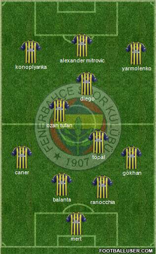 Fenerbahçe SK Formation 2015