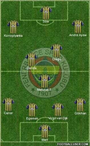 Fenerbahçe SK Formation 2015