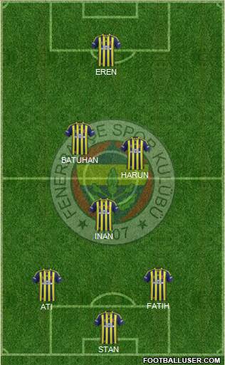 Fenerbahçe SK Formation 2015