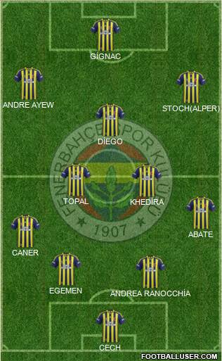 Fenerbahçe SK Formation 2015