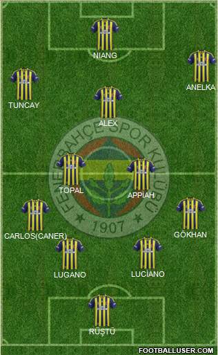 Fenerbahçe SK Formation 2015