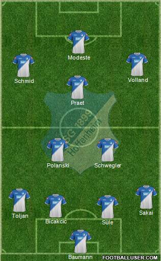 TSG 1899 Hoffenheim Formation 2015