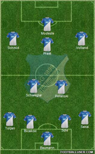 TSG 1899 Hoffenheim Formation 2015