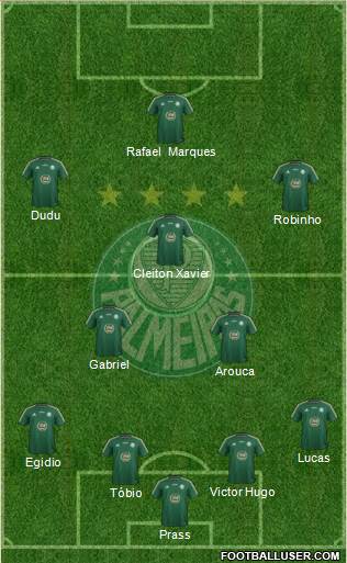 SE Palmeiras Formation 2015