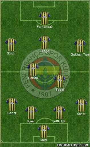 Fenerbahçe SK Formation 2015