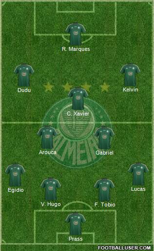 SE Palmeiras Formation 2015