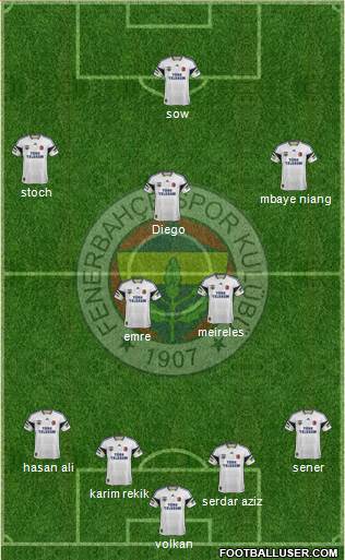 Fenerbahçe SK Formation 2015