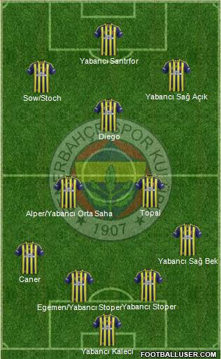 Fenerbahçe SK Formation 2015