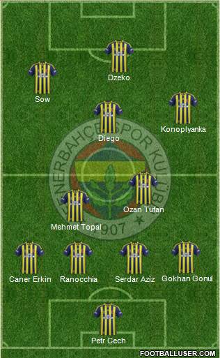 Fenerbahçe SK Formation 2015
