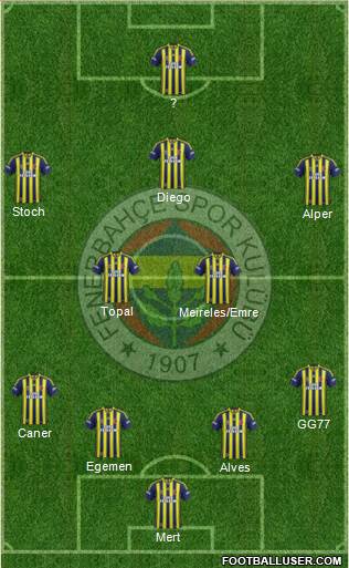Fenerbahçe SK Formation 2015