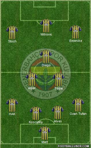 Fenerbahçe SK Formation 2015