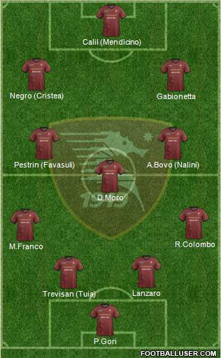 Salernitana Formation 2015