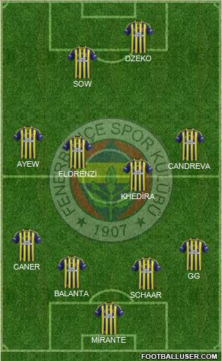 Fenerbahçe SK Formation 2015