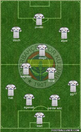Fenerbahçe SK Formation 2015