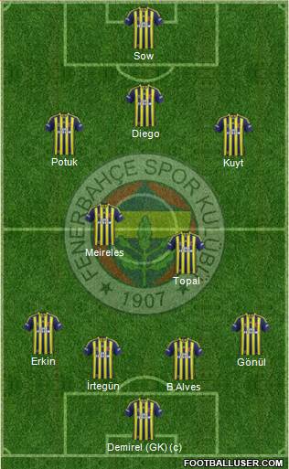 Fenerbahçe SK Formation 2015