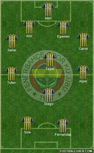 Fenerbahçe SK Formation 2015