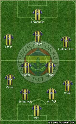 Fenerbahçe SK Formation 2015