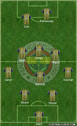 Fenerbahçe SK Formation 2015