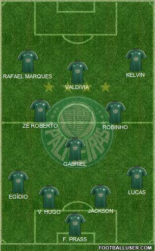 SE Palmeiras Formation 2015