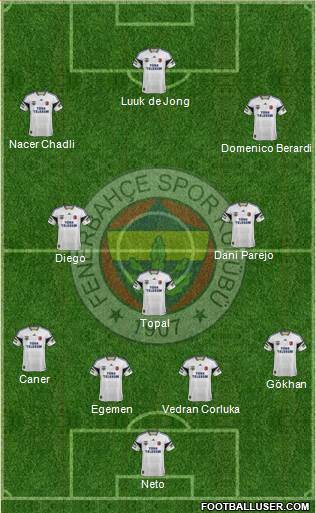 Fenerbahçe SK Formation 2015
