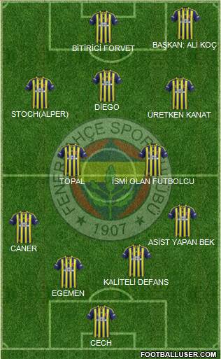 Fenerbahçe SK Formation 2015