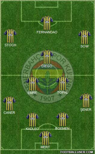 Fenerbahçe SK Formation 2015