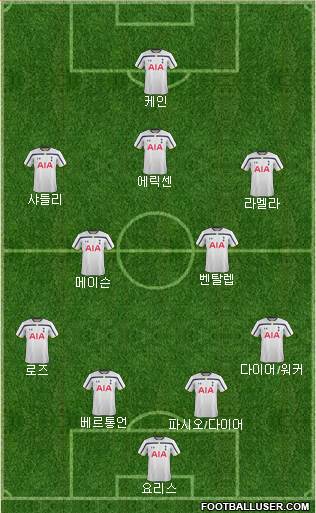Tottenham Hotspur Formation 2015