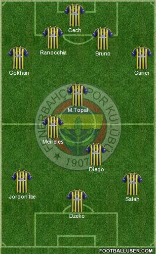 Fenerbahçe SK Formation 2015
