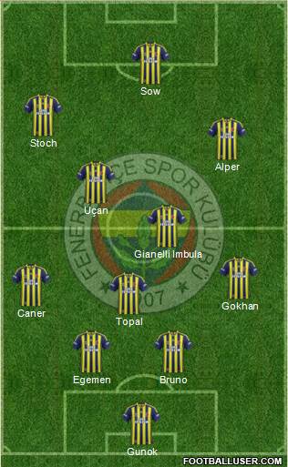 Fenerbahçe SK Formation 2015