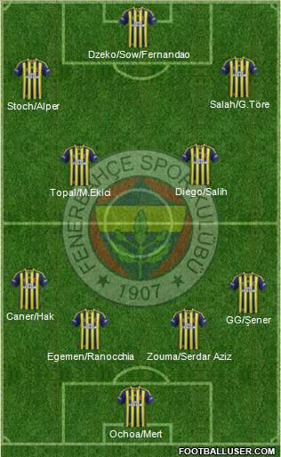 Fenerbahçe SK Formation 2015