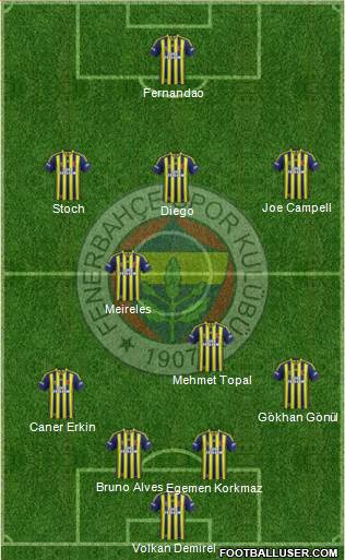Fenerbahçe SK Formation 2015