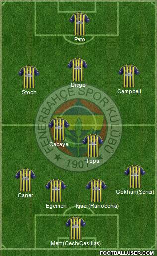Fenerbahçe SK Formation 2015