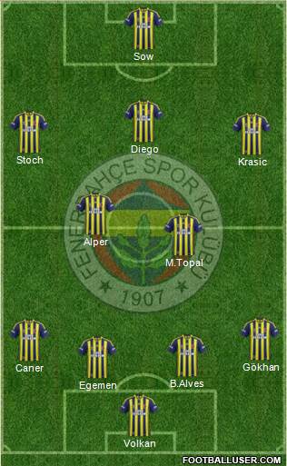 Fenerbahçe SK Formation 2015