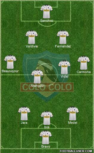 CSD Colo Colo Formation 2015