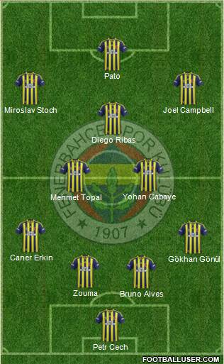 Fenerbahçe SK Formation 2015