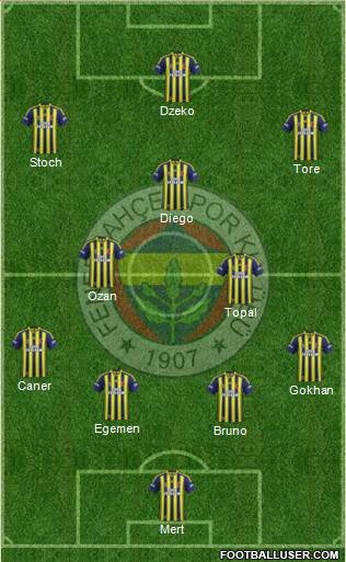 Fenerbahçe SK Formation 2015