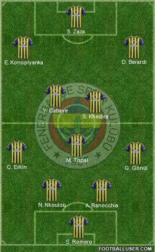 Fenerbahçe SK Formation 2015