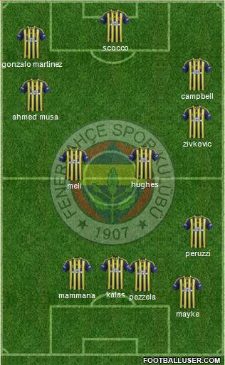 Fenerbahçe SK Formation 2015