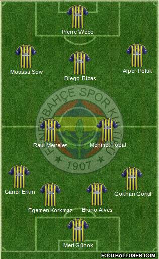 Fenerbahçe SK Formation 2015