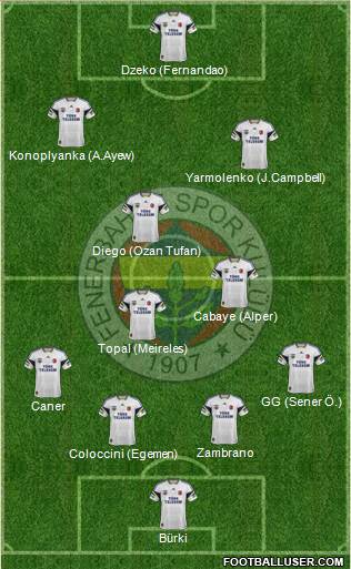 Fenerbahçe SK Formation 2015