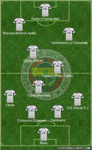 Fenerbahçe SK Formation 2015