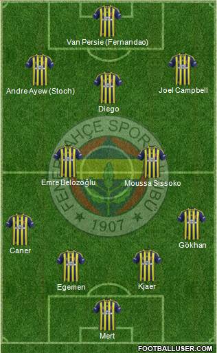 Fenerbahçe SK Formation 2015