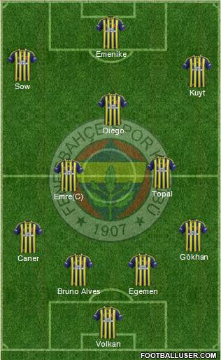 Fenerbahçe SK Formation 2015