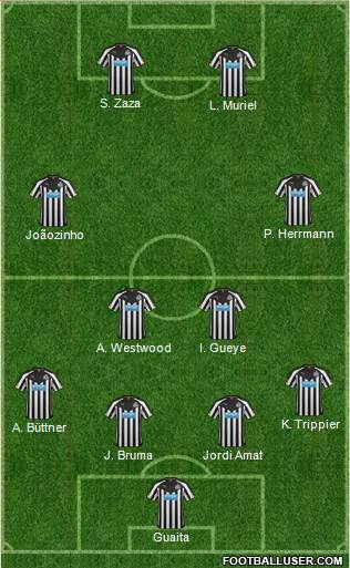 Newcastle United Formation 2015