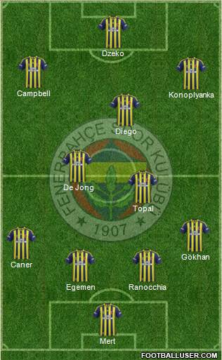 Fenerbahçe SK Formation 2015