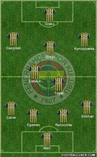 Fenerbahçe SK Formation 2015
